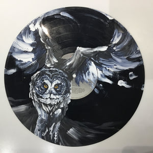 Painted Vinyl Records