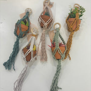 Mini Macrame Plant Hanger