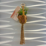 Mini Macrame Plant Hanger