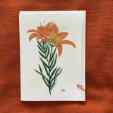 Wendy Fox's Watercolor Painting Greeting Cards