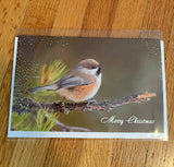 Boreal Chickadee Christmas Card