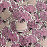 Pink Caladium Waterproof Sticker