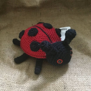 Ladybug