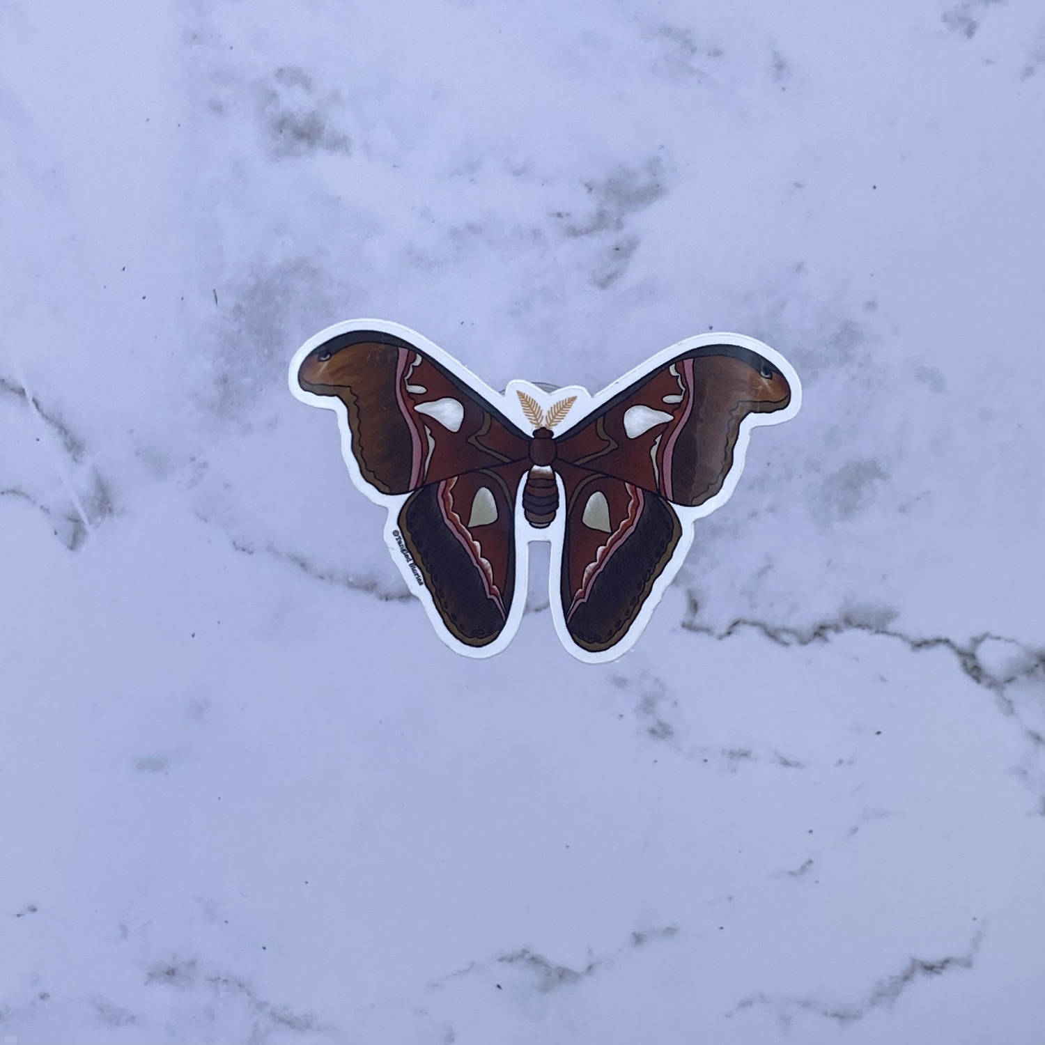 Atlas Moth Waterproof Sticker