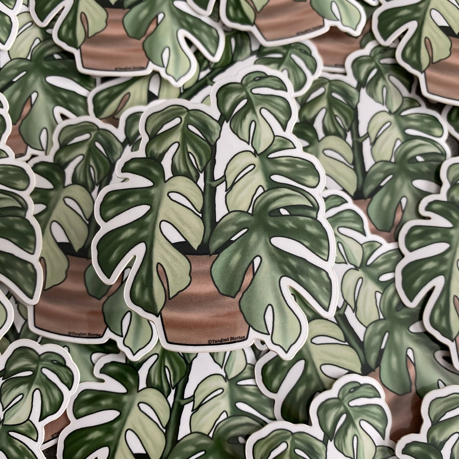 Monstera (Thai Constellation) Waterproof Sticker